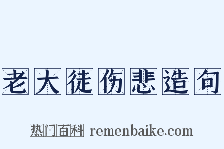 老大徒伤悲造句是什么意思的图片